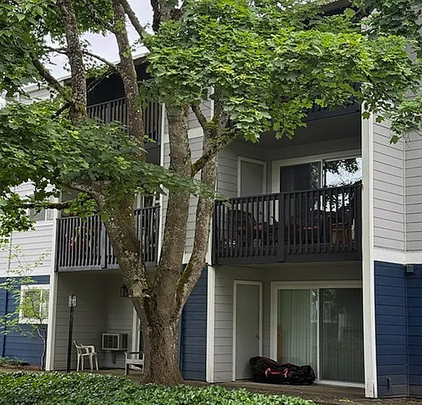 Springbrook — Photo 13
