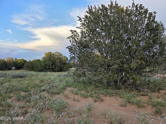3rd image of 3908 Hidden Ranch Rd