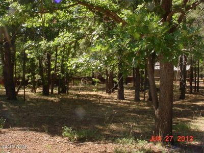 5032 Branding Iron Loop Lot 439, Pinetop, AZ, 85935