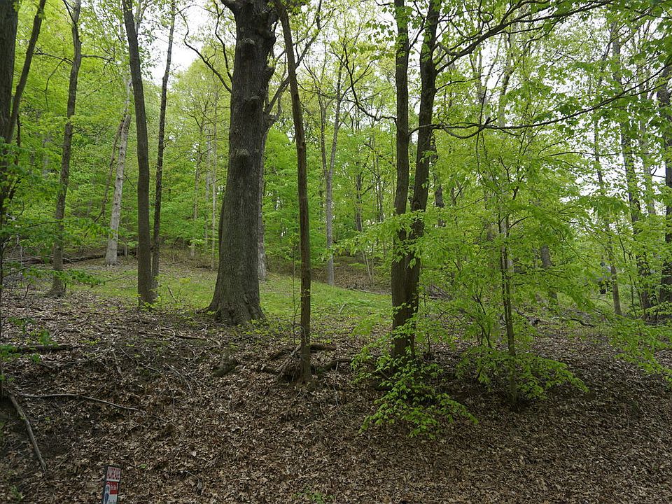 2nd image of 13275 Bearcamp Rd