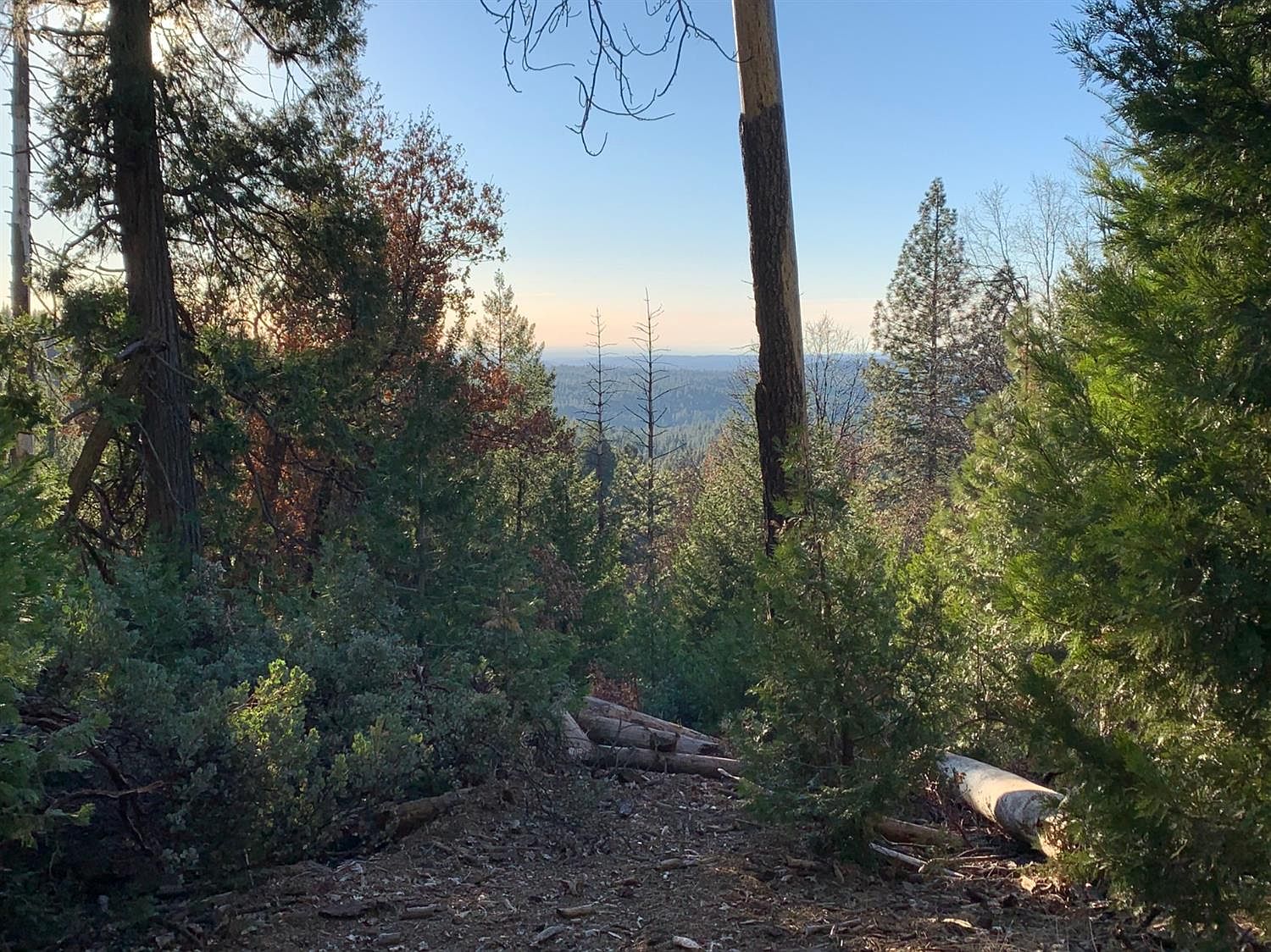 4898 Creekside Dr, Grizzly Flats, CA 95636 Zillow