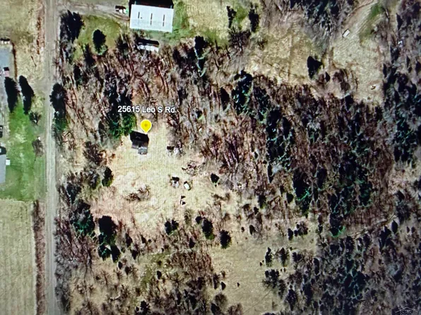 25615 Leo South Rd, Watton, MI 49970