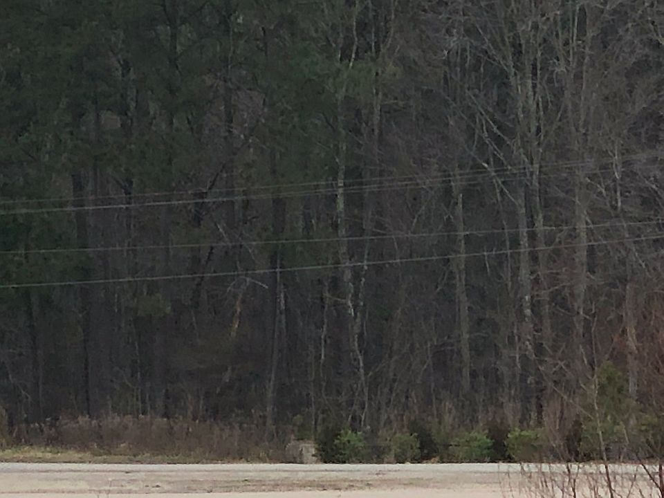 View from DAMCO parking lot.