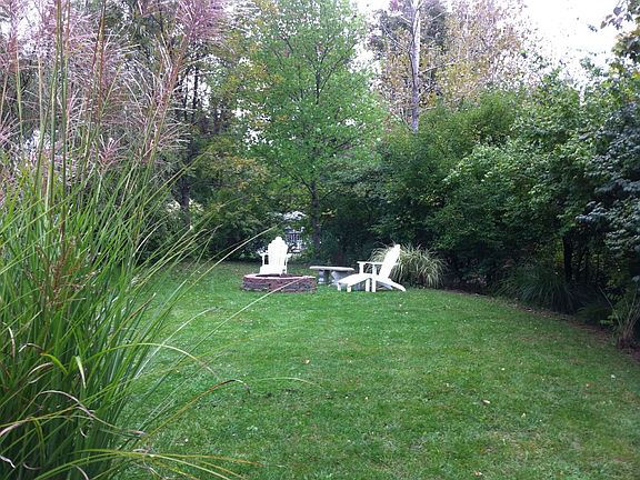 Wooded, secluded backyard