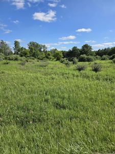 Washington Rd, Carsonville, MI, 48419