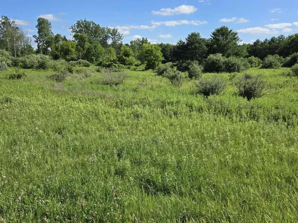 Washington Rd, Carsonville, MI 48419