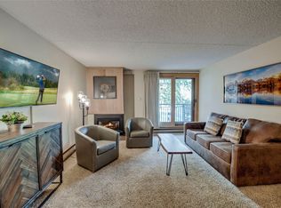 455 Village Rd APT 103, Breckenridge, CO 80424