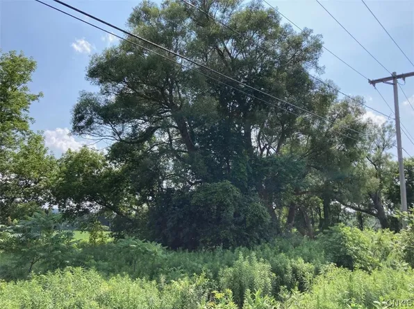 0 Heifer Rd #1, Skaneateles, NY 13152