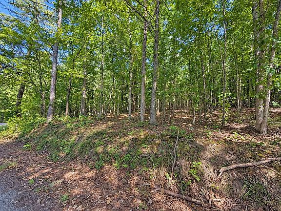 3rd image of 105 County Road 83