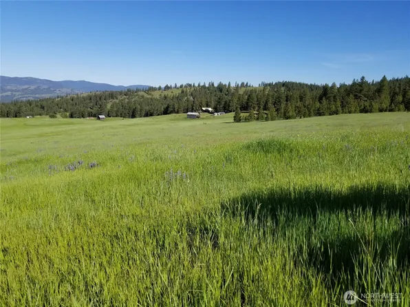 49 Old Ranch House Road, Republic, WA 99166