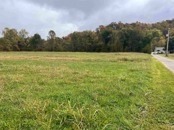 0 Douthat Ln, Lesage, WV 25537