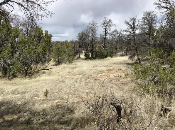 520 Pine Meadows Rnch, Ramah, NM 87321
