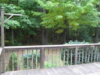 2nd image of 4013 Pinestead Dr