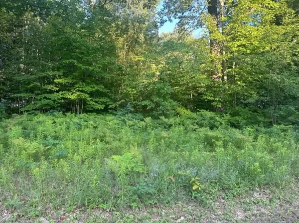 Nhn Nina Rd, Harrison, MI 48625