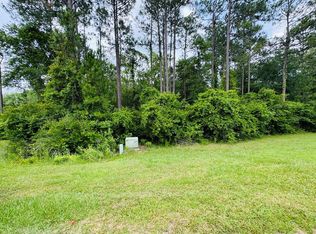 79 Spring Oak Dr, Carriere, MS 39426