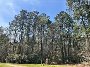 1258 Clyo Kildare Road, Clyo, GA 31303