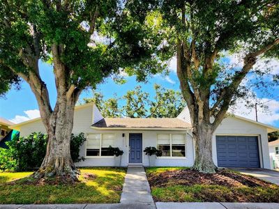 2806 W Shelton Ave, Tampa, FL, 33611