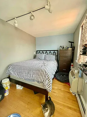 Rented by The Downtown LLC | media 42