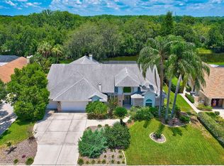 17911 Clear Lake Dr, Lutz, FL 33548