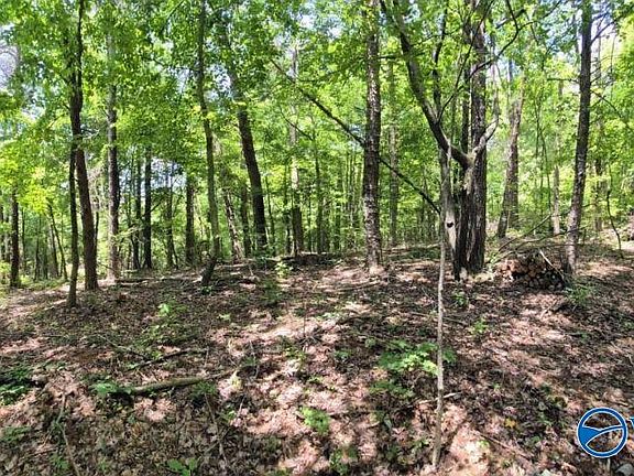 2nd image of 2 Cherokee County Rd #275