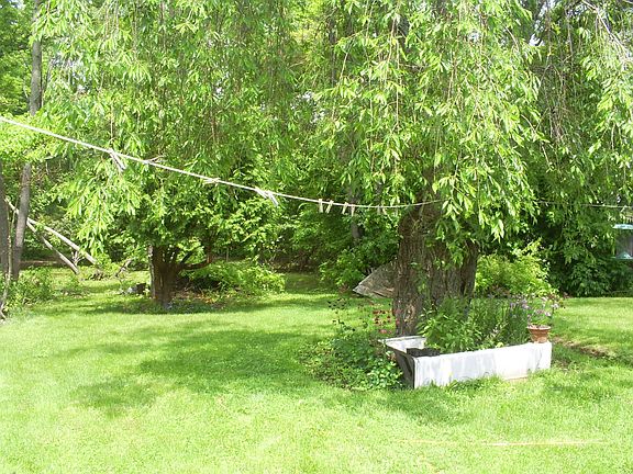 Back yard & spice garden