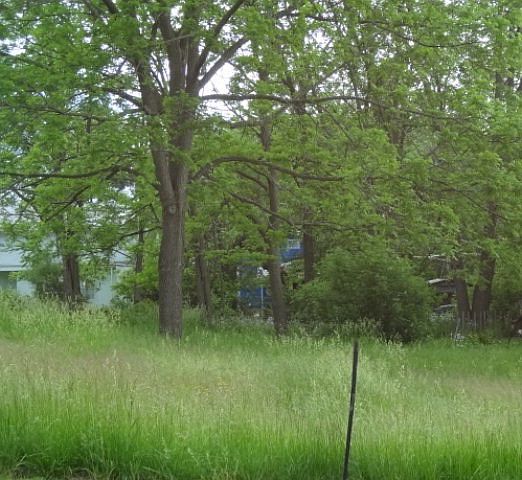 1st image of 260 W 12th St