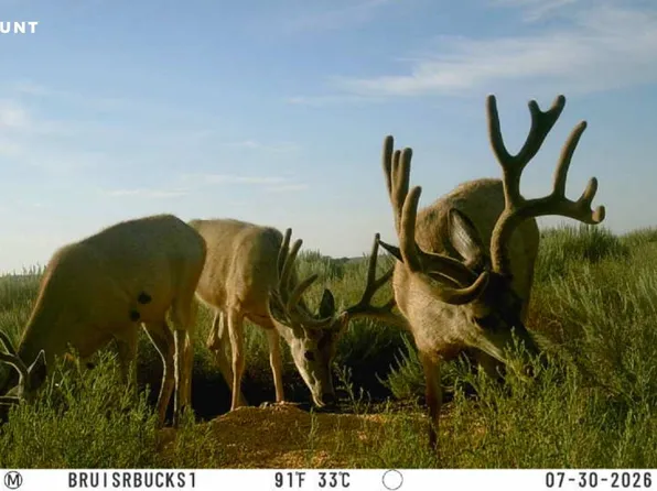 Road Aa, Lakin, KS 67860