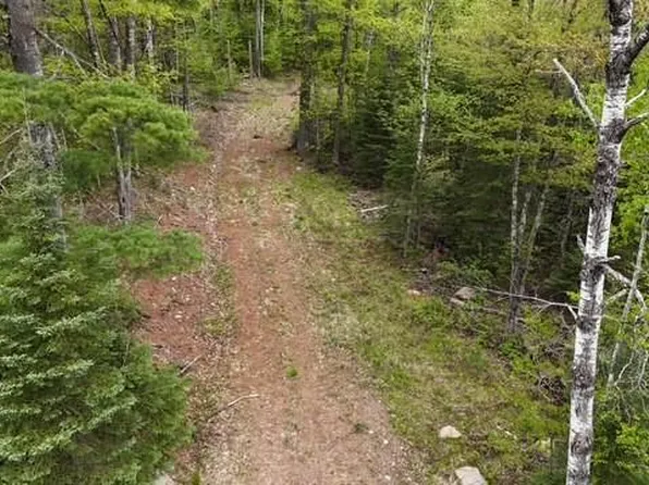 3936W North Clover Road, Loretta, WI 54896