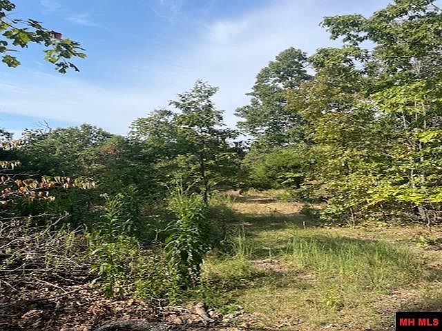 1st image of 001-04716 Blueberry Ln #0