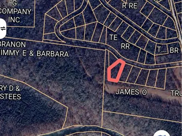 0 Antoinette Dr, Bonne Terre, MO 63628