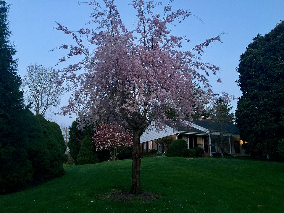 2nd image of 3922 Hawthorne Rd