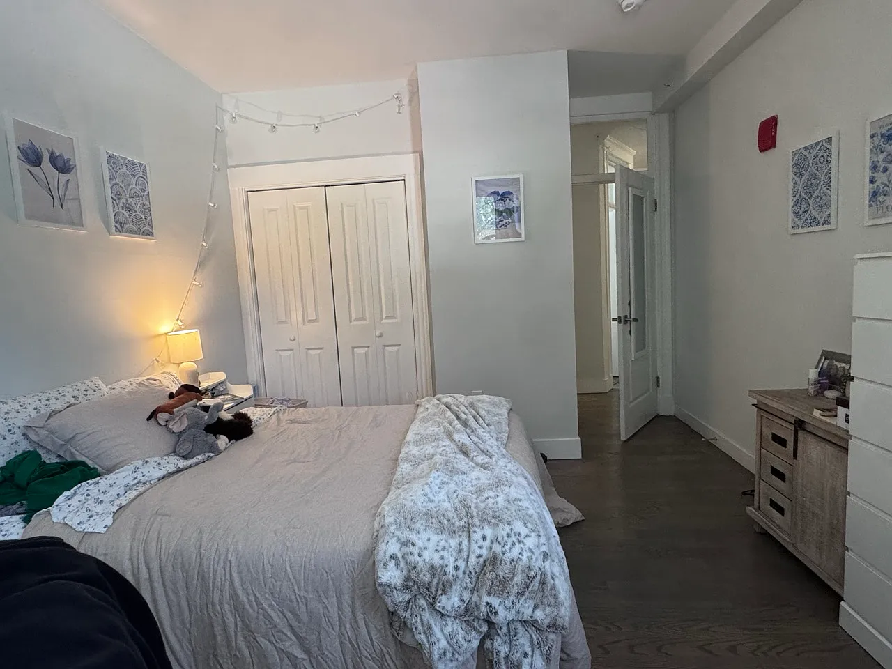 3 bed, 800 sqft, $4,750 — Photo 3
