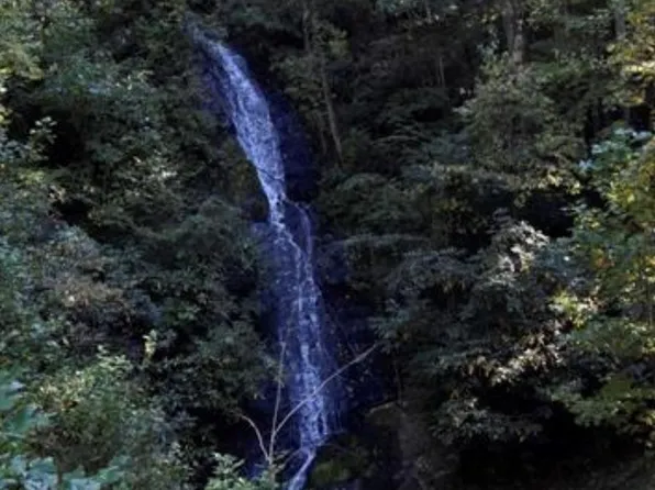 0 Brown Ln, Marble, NC 28905