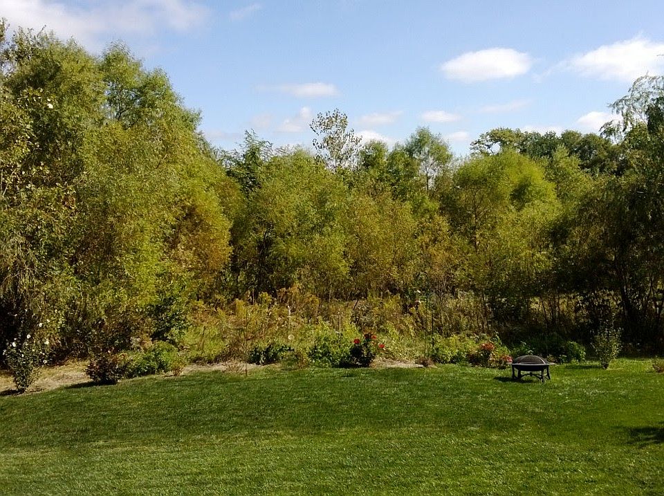 Lovely Greenspace!