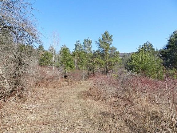 3rd image of 3977 State Highway 8