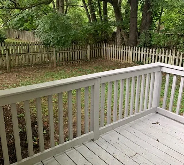 West side of back yard