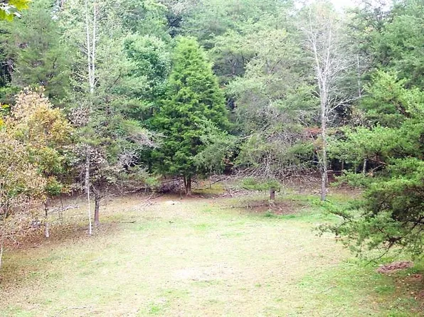 Jones Cove Rd, Cosby, TN 37722