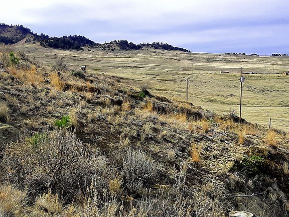 3rd image of 0 Davis Rd