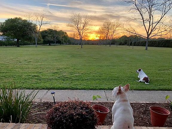 Your View from Front Porch