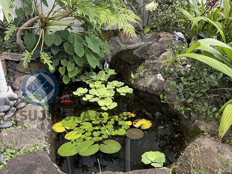2323 E Manoa Rd — Photo 16