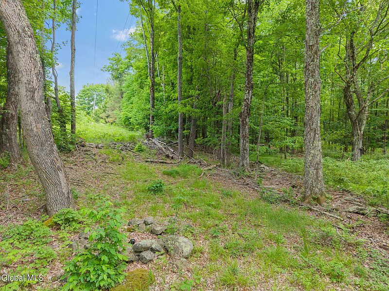 4th image of 114 Stonewall Path & Brand Rd. Path