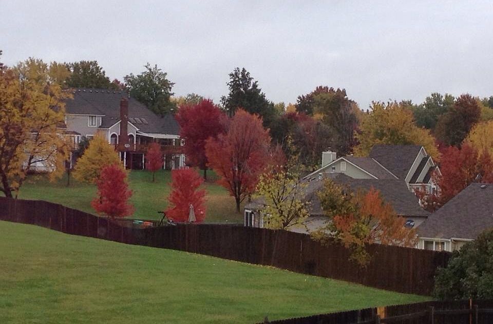 View from kitchen in fall