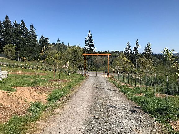 Ornamental cherry trees