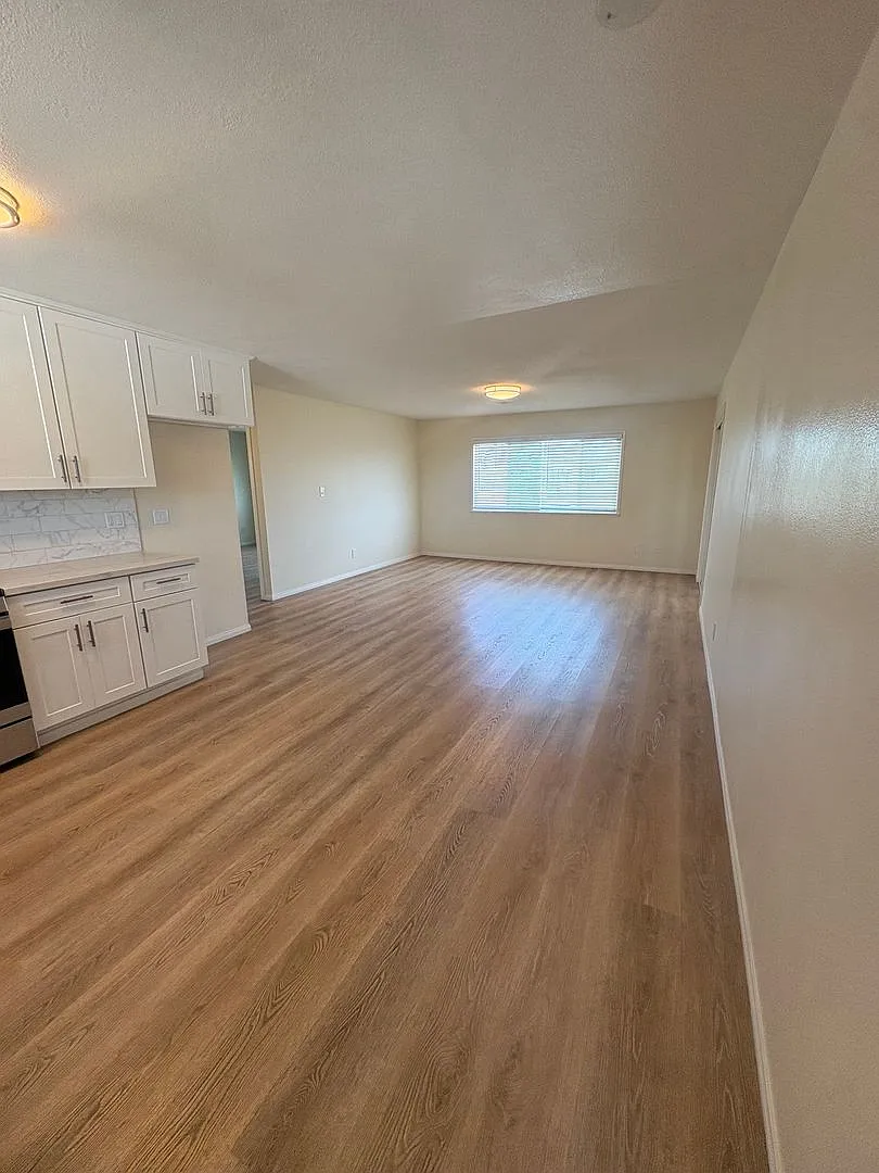 235 Wolff Street — Photo 4