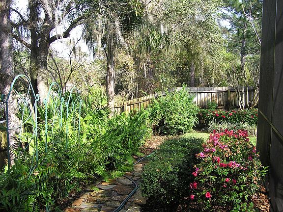 Backyard Bliss