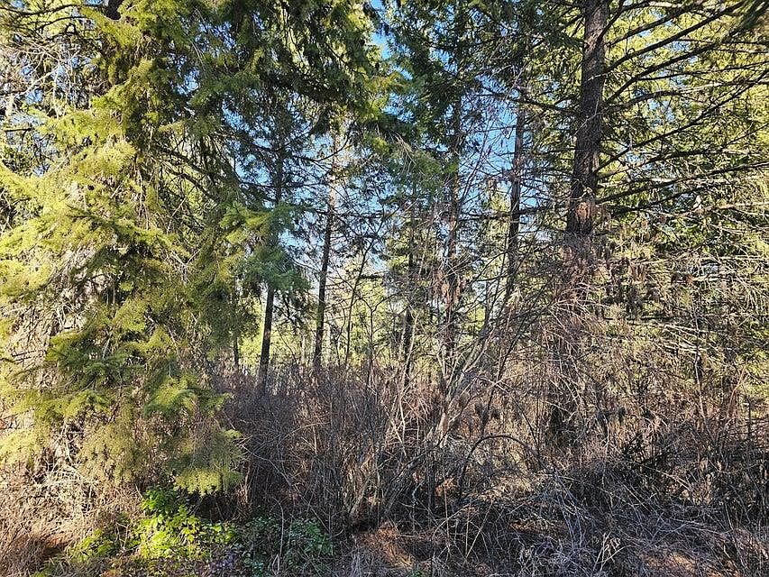 2nd image of 3378H Hill Loop Rd