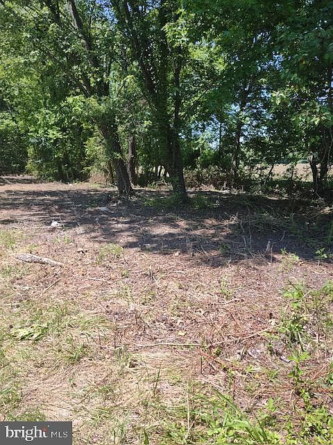 2nd image of 6858 Hopkins Neck Rd