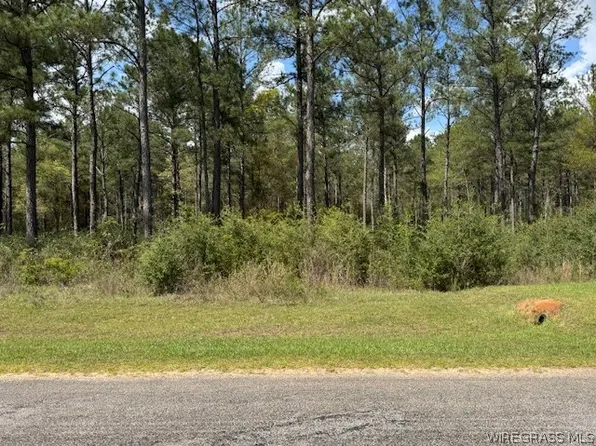 LOT 97 Harbor Rd, Andalusia, AL 36421