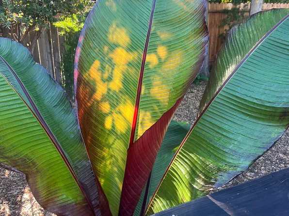 5 Boulevard Ter, Novato, CA 94947