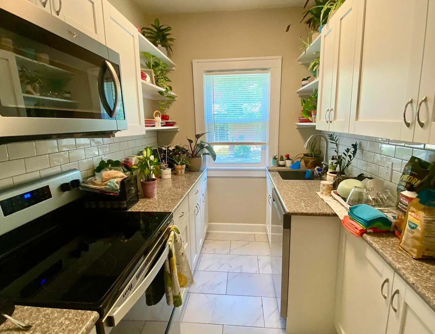 1 bed, 1.0 bath, 820 sqft, $1,200 — Photo 2